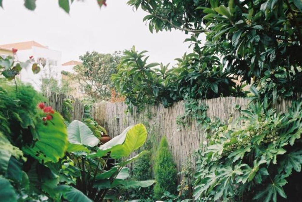 Apartment With Private Garden Porto Zimmer foto